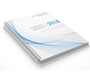 PAPEL PARANA 2MM - 350g | 4X0 - 50 unidades | CAD10050