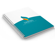 PAPEL PARANA 2MM - 350g | 4X0 - 1 unidade | CADD1