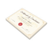 APERGAMINHADO - 240g | 4X0 - 2 unidades | CAP2322