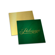 GOLD MASTER - 300g | 4X0 - 225 unidades | CBG10250