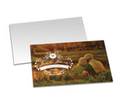 COUCHE FOTOGRAFICO-CONVITE - 210g | 4X0 - 100 unidades | CFC14100