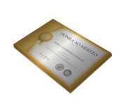 SILVER LUX - 300g | 4X0 - 20 unidades | CS33220