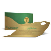 GOLD MASTER - 300g | 4X4 - 100 unidades | ECG100