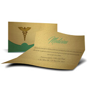 GOLD MASTER - 300g | 4X4 - 100 unidades | ERG100