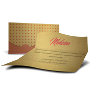 GOLD MASTER - 300g | 4X4 - 250 unidades | ERG250