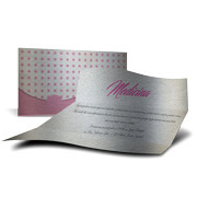 SILVER LUX - 300g | 4X4 - 250 unidades | ERS250