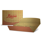 GOLD MASTER - 300g | 4X4 - 250 unidades | ETG250