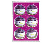 ADESIVO VINIL BRANCO - LAMINACAO HOLOGRAFICA - 120g | 4X0 - 5 unidades | FADH02