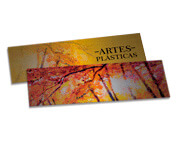 SILVER LUX - 300g | 4X4 - 50 unidades | MS14450