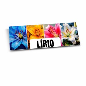 PLACA DE PSAI 2MM - 20g | 4X0 - 10 unidades | PLACAIMO83