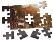 ADESIVO VINIL BRANCO - 120g | 4X0 - 1 unidade | QCI01